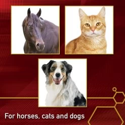 Vita Flex Pro MSM Ultra Pure Joint Support Granules Dog & Horse Supplement, 4-lb Bucket -Horse Supplies Shop 165299 PT3. AC SS1800 V1646848038