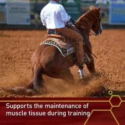 Vita Flex Pro Accel Lifetime Health & Wellness Formula Pellets Horse Supplement -Horse Supplies Shop 165306 PT3. AC SS1800 V1661831878