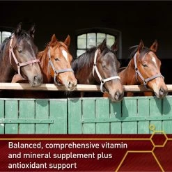 Vita Flex Pro Accel Lifetime Health & Wellness Formula Pellets Horse Supplement -Horse Supplies Shop 165306 PT4. AC SS1800 V1661831039