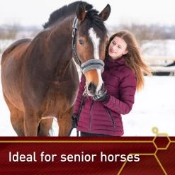 Vita Flex Pro Accel Lifetime Health & Wellness Formula Pellets Horse Supplement -Horse Supplies Shop 165306 PT5. AC SS1800 V1661830052