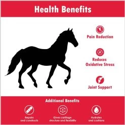 Pet Health Solutions Joint Max Triple Strength Horse Supplement 14 Pet Health Solutions Joint Max Triple Strength Horse Supplement -Horse Supplies Shop 175646 PT5. AC SS1800 V1680193223