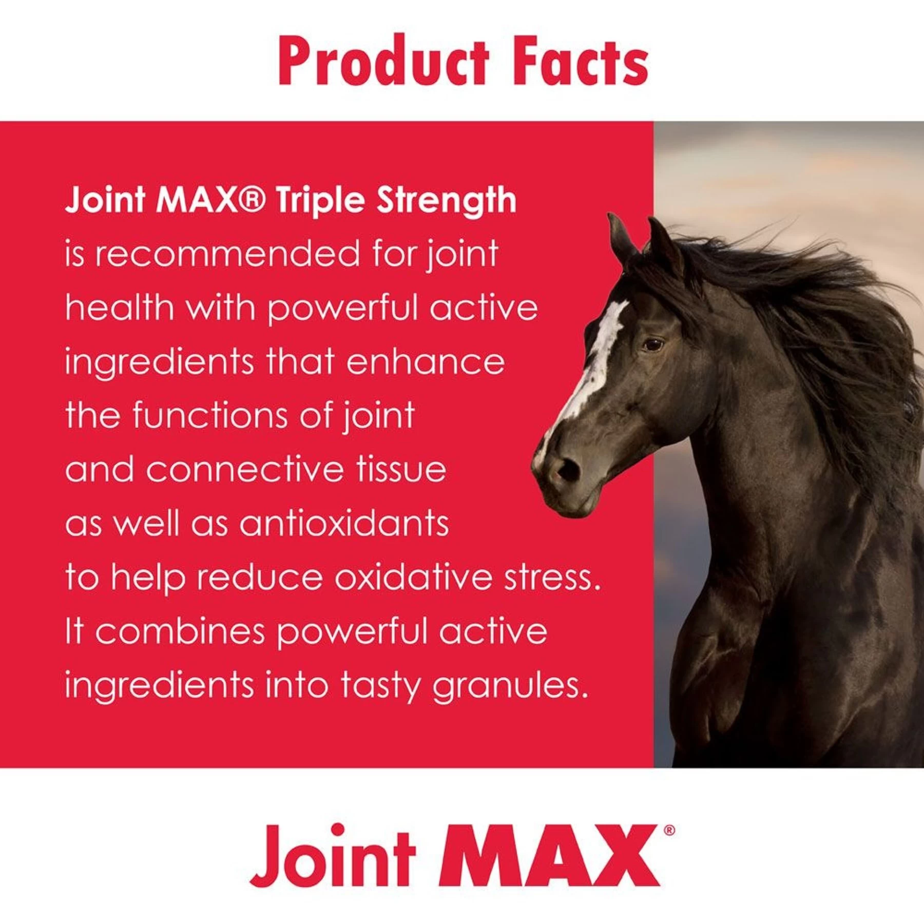 Pet Health Solutions Joint Max Triple Strength Horse Supplement 8 Pet Health Solutions Joint Max Triple Strength Horse Supplement - Image 8