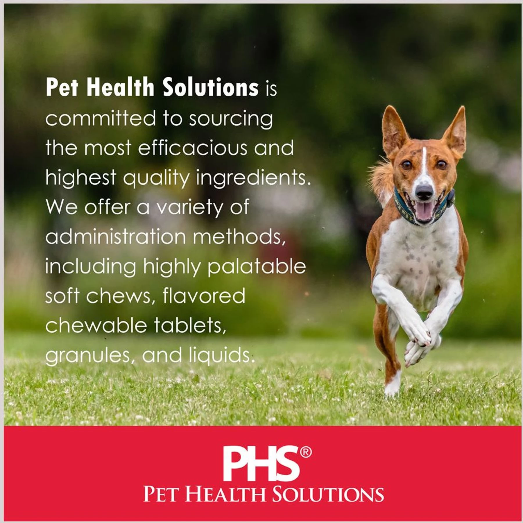 Pet Health Solutions Joint Max Triple Strength Horse Supplement 9 Pet Health Solutions Joint Max Triple Strength Horse Supplement - Image 9