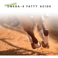 Manna Pro Cetyl-M Joint Support Apple Flavor Granules Horse Supplement -Horse Supplies Shop 180918 PT4. AC SS1800 V1632955571