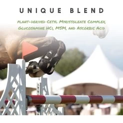 Manna Pro Cetyl-M Joint Support Apple Flavor Granules Horse Supplement -Horse Supplies Shop 180918 PT6. AC SS1800 V1632954383