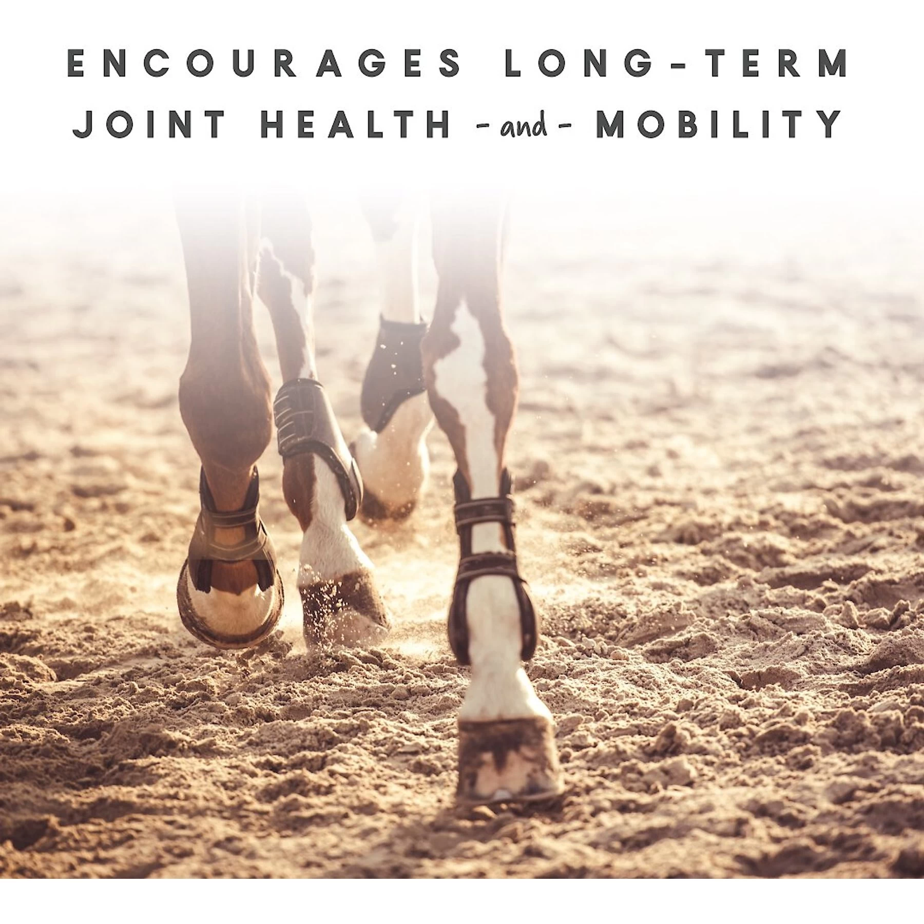 Manna Pro Cetyl-M Joint Support Apple Flavor Pellets Horse Supplement 3 Manna Pro Cetyl-M Joint Support Apple Flavor Pellets Horse Supplement - Image 3