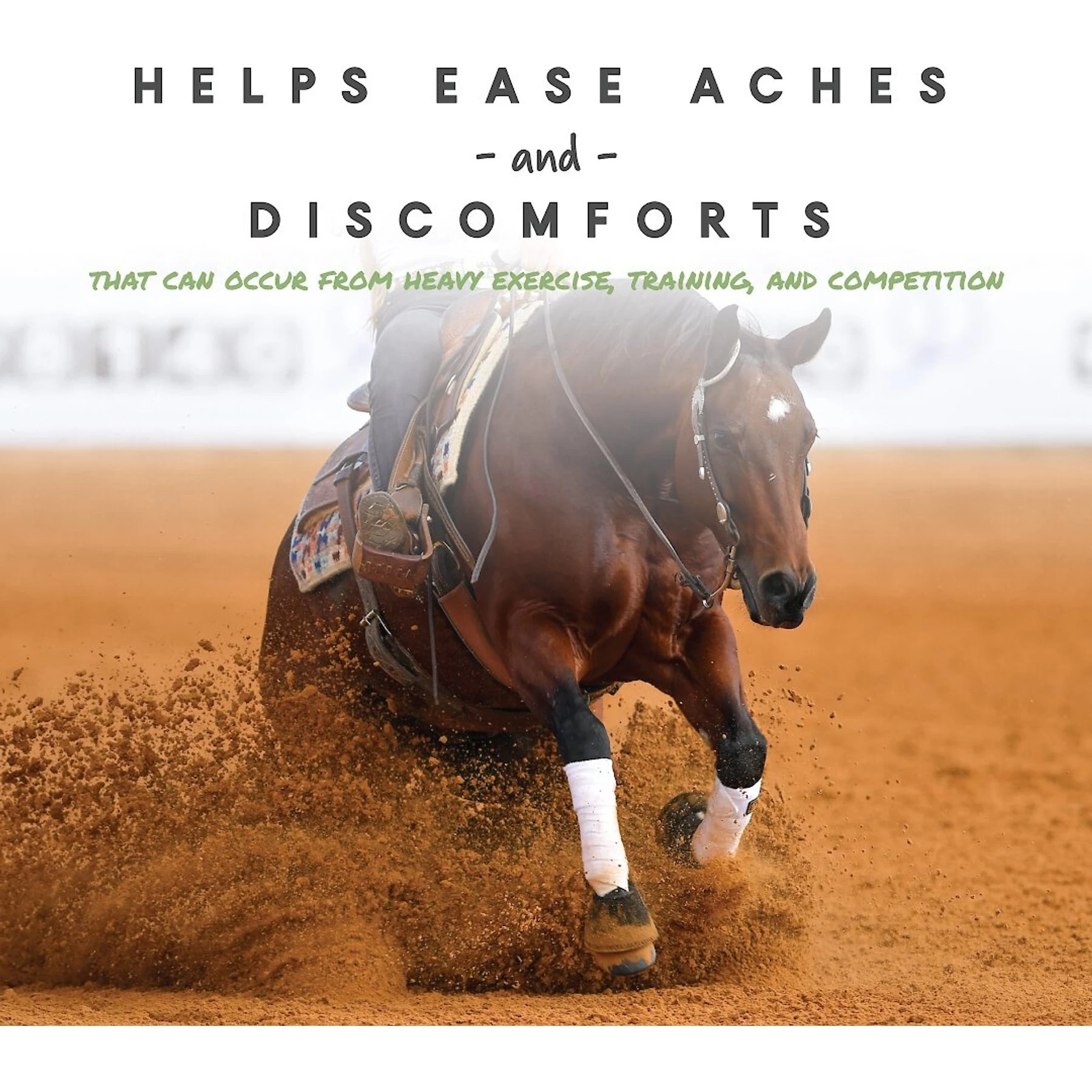 Manna Pro Cetyl-M Joint Support Apple Flavor Pellets Horse Supplement 5 Manna Pro Cetyl-M Joint Support Apple Flavor Pellets Horse Supplement - Image 5