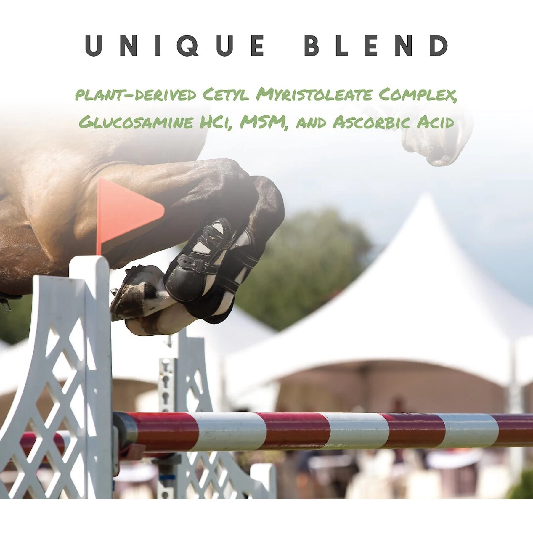 Manna Pro Cetyl-M Joint Support Apple Flavor Pellets Horse Supplement 6 Manna Pro Cetyl-M Joint Support Apple Flavor Pellets Horse Supplement - Image 6