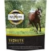 Tribute Equine Nutrition Equi-Ferm X-Large Prebiotic & Probiotic Pellets Horse Supplement