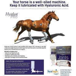 Hyalun Pro Hyaluronic Acid Joint Support Liquid Horse Supplement 7 Hyalun Pro Hyaluronic Acid Joint Support Liquid Horse Supplement -Horse Supplies Shop 193598 PT3. AC SS1800 V1566244985