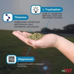 Formula 707 Calming Grain Flavor Pellets Horse Supplement, 28 Count 9 Formula 707 Calming Grain Flavor Pellets Horse Supplement, 28 Count -Horse Supplies Shop 196750 PT4. AC SS1800 V1611089111