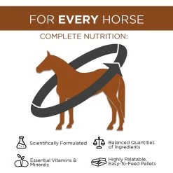 Formula 707 Daily Essentials Vitamins & Minerals Hay Flavor Pellets Horse Supplement, 56 Count -Horse Supplies Shop 196752 PT2. AC SS1800 V1611789702