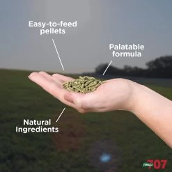 Formula 707 Daily Essentials Vitamins & Minerals Hay Flavor Pellets Horse Supplement, 56 Count -Horse Supplies Shop 196752 PT3. AC SS1800 V1611788764