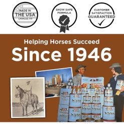 Formula 707 Daily Essentials Vitamins & Minerals Hay Flavor Pellets Horse Supplement, 56 Count -Horse Supplies Shop 196752 PT4. AC SS1800 V1611790048