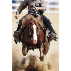 Formula 707 Joint 6-in-1 Hay Flavor Pellets Horse Supplement, 28 Count -Horse Supplies Shop 196758 PT3. AC SS1800 V1568053168