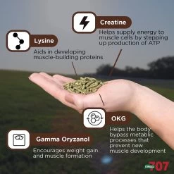 Formula 707 MuscleMx Muscle Care Hay Flavor Pellets Horse Supplement, 28 Count -Horse Supplies Shop 196760 PT3. AC SS1800 V1611793014