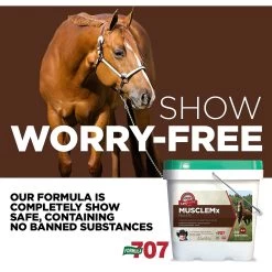 Formula 707 MuscleMx Muscle Care Hay Flavor Pellets Horse Supplement, 28 Count -Horse Supplies Shop 196760 PT4. AC SS1800 V1611789403