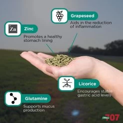 Formula 707 ULZERless Digestive Health Hay Flavor Pellets Horse Supplement, 28 Count 8 Formula 707 ULZERless Digestive Health Hay Flavor Pellets Horse Supplement, 28 Count -Horse Supplies Shop 196762 PT2. AC SS1800 V1612891272