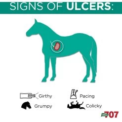 Formula 707 ULZERless Digestive Health Hay Flavor Pellets Horse Supplement, 28 Count 10 Formula 707 ULZERless Digestive Health Hay Flavor Pellets Horse Supplement, 28 Count -Horse Supplies Shop 196762 PT4. AC SS1800 V1611788821