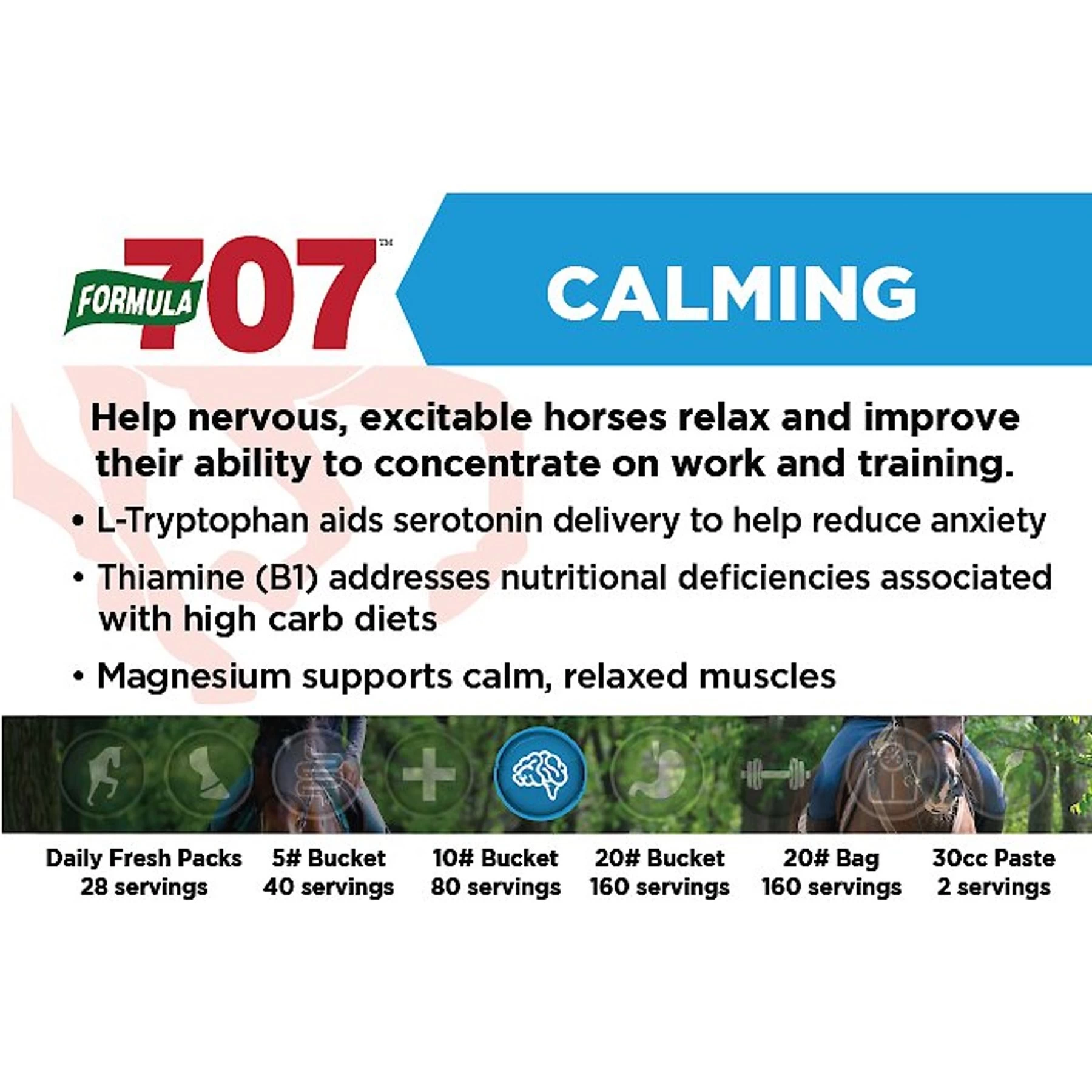 Formula 707 Horse Calming Apple Flavor Paste Horse Supplement, 30-cc Syringe 2 Formula 707 Horse Calming Apple Flavor Paste Horse Supplement, 30-cc Syringe - Image 2