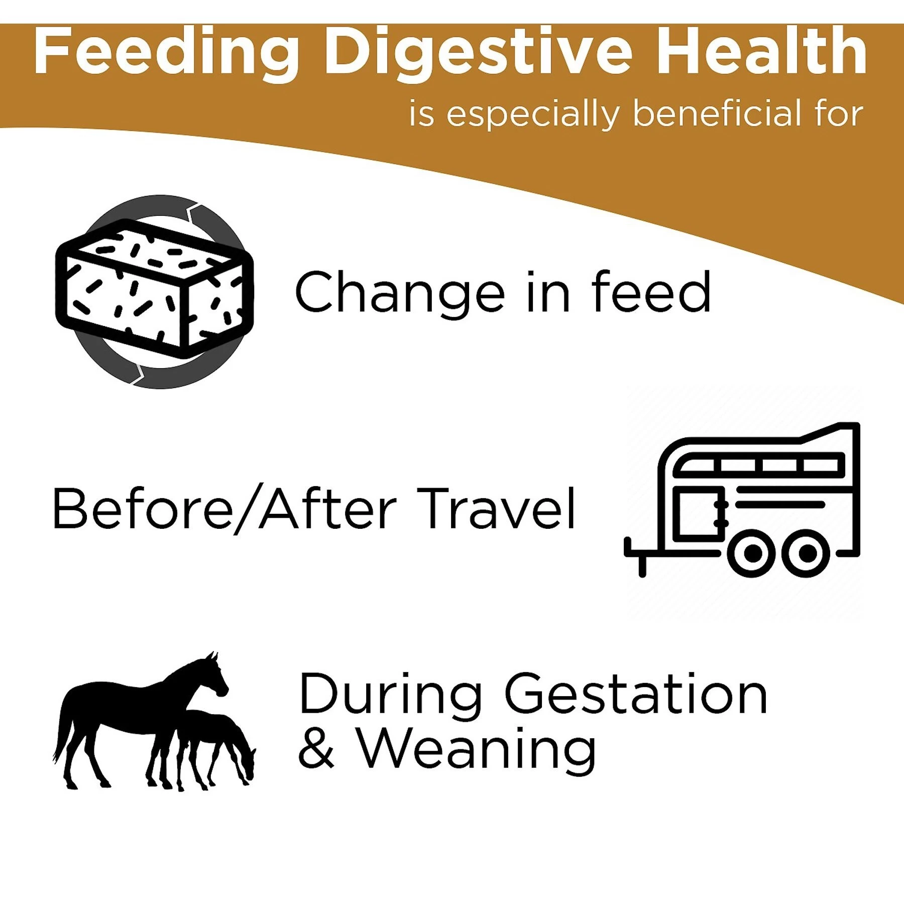 Formula 707 Digestive Health Hay Flavor Pellets Horse Supplement 3 Formula 707 Digestive Health Hay Flavor Pellets Horse Supplement - Image 3