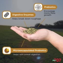 Formula 707 Digestive Health Hay Flavor Pellets Horse Supplement 8 Formula 707 Digestive Health Hay Flavor Pellets Horse Supplement -Horse Supplies Shop 196777 PT3. AC SS1800 V1611844280