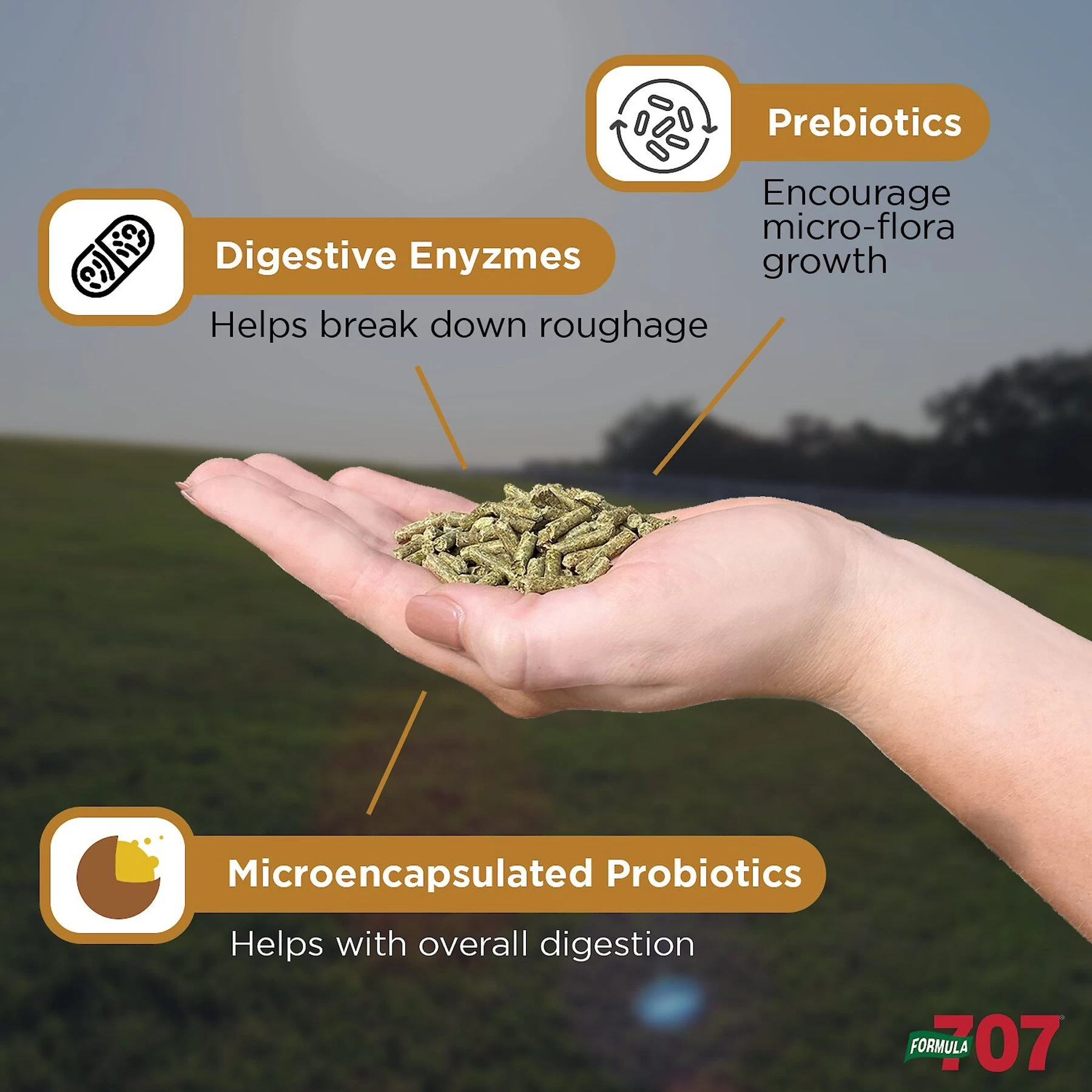 Formula 707 Digestive Health Hay Flavor Pellets Horse Supplement 4 Formula 707 Digestive Health Hay Flavor Pellets Horse Supplement - Image 4