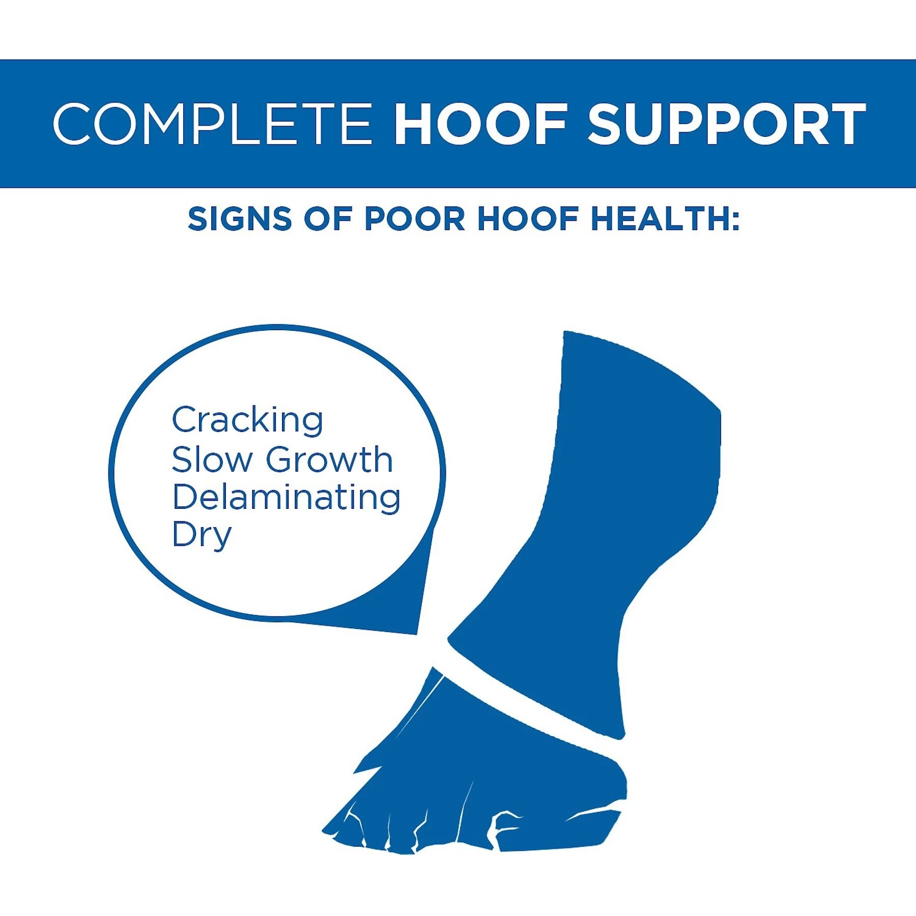 Formula 707 Hoof Health Hay Flavor Pellets Horse Supplement 3 Formula 707 Hoof Health Hay Flavor Pellets Horse Supplement - Image 3