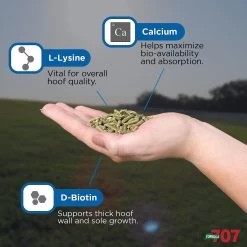 Formula 707 Hoof Health Hay Flavor Pellets Horse Supplement 8 Formula 707 Hoof Health Hay Flavor Pellets Horse Supplement -Horse Supplies Shop 196779 PT3. AC SS1800 V1611792686