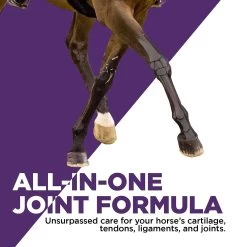 Formula 707 Joint 6-in-1 Hay Flavor Pellets Horse Supplement -Horse Supplies Shop 196782 PT2. AC SS1800 V1611787035