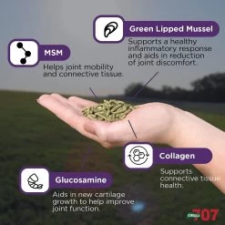 Formula 707 Joint 6-in-1 Hay Flavor Pellets Horse Supplement -Horse Supplies Shop 196782 PT3. AC SS1800 V1611792406