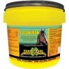 Finish Line Easywillow Soreness & Stiffness Powder Horse Supplement