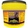 Finish Line Feet First Skin, Coat & Hoof Care Powder Horse Supplement