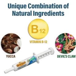 Absorbine Bute-Less Comfort & Recovery Paste Horse Supplement -Horse Supplies Shop 199292 PT2. AC SS1800 V1685131542