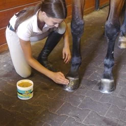Absorbine Hooflex Therapeutic Conditioner Original Horse Hoof Care Ointment -Horse Supplies Shop 199500 PT2. AC SS1800 V1685131730