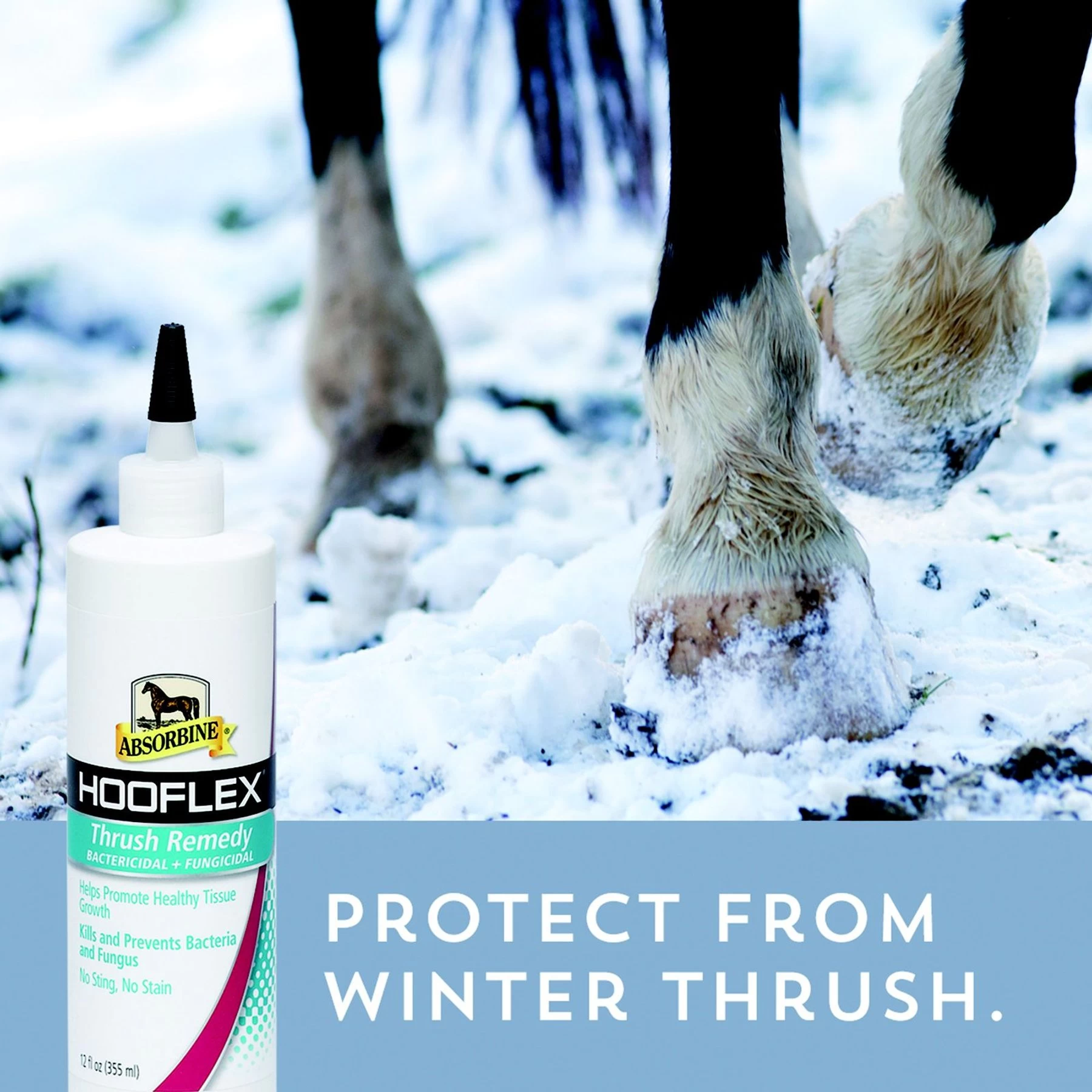 Absorbine Hooflex Thrush Remedy Bactericidal & Fungicidal Horse Thrush Treatment 3 Absorbine Hooflex Thrush Remedy Bactericidal & Fungicidal Horse Thrush Treatment - Image 3