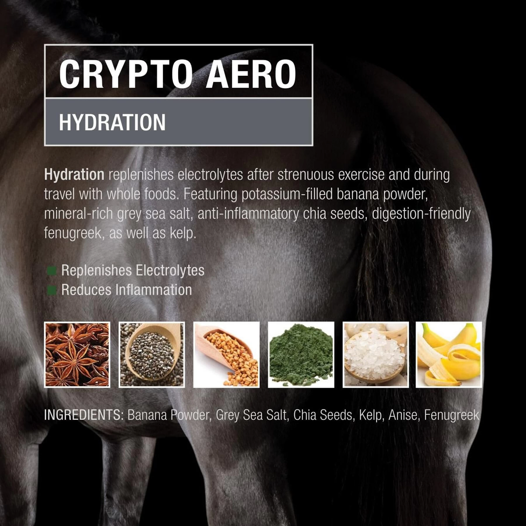 Crypto Aero Hydration & Recovery Powder Horse Supplement 2 Crypto Aero Hydration & Recovery Powder Horse Supplement - Image 2