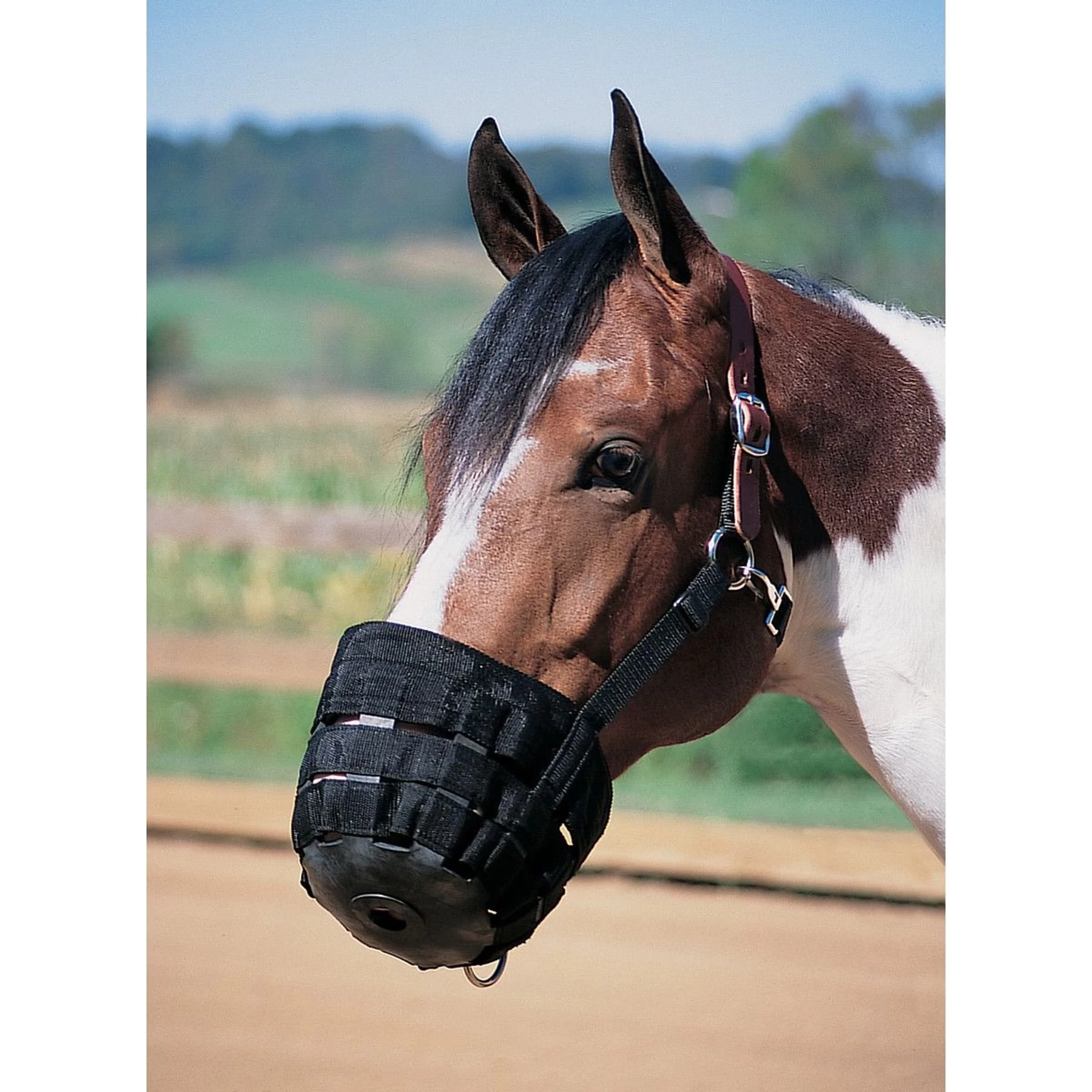 Weaver Leather Horse Grazing Muzzle, Black, Large 2 Weaver Leather Horse Grazing Muzzle, Black, Large - Image 2