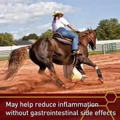 Vita Flex Pro Equinyl Combo Joint Formula Powder Horse Supplement -Horse Supplies Shop 201799 PT3. AC SS1800 V1646848300