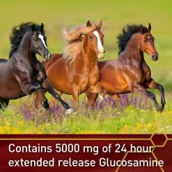 Vita Flex Pro Equinyl Combo Joint Formula Powder Horse Supplement -Horse Supplies Shop 201799 PT4. AC SS1800 V1646854340