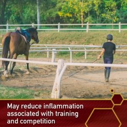 Vita Flex Pro Equinyl Joint Formula & Hyaluronic Acid Powder Horse Supplement -Horse Supplies Shop 201806 PT4. AC SS1800 V1646854410