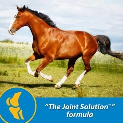 Farnam FluidFlex Joint Solution Liquid Horse Supplement -Horse Supplies Shop 202460 pt3. AC SS1800 V1569350257