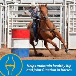 Farnam FluidFlex Joint Solution Liquid Horse Supplement -Horse Supplies Shop 202460 pt4. AC SS1800 V1569350295