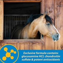 Farnam FluidFlex Joint Solution Liquid Horse Supplement -Horse Supplies Shop 202460 pt5. AC SS1800 V1569350329