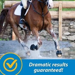 Farnam FluidFlex Joint Solution Liquid Horse Supplement -Horse Supplies Shop 202460 pt6. AC SS1800 V1569350338