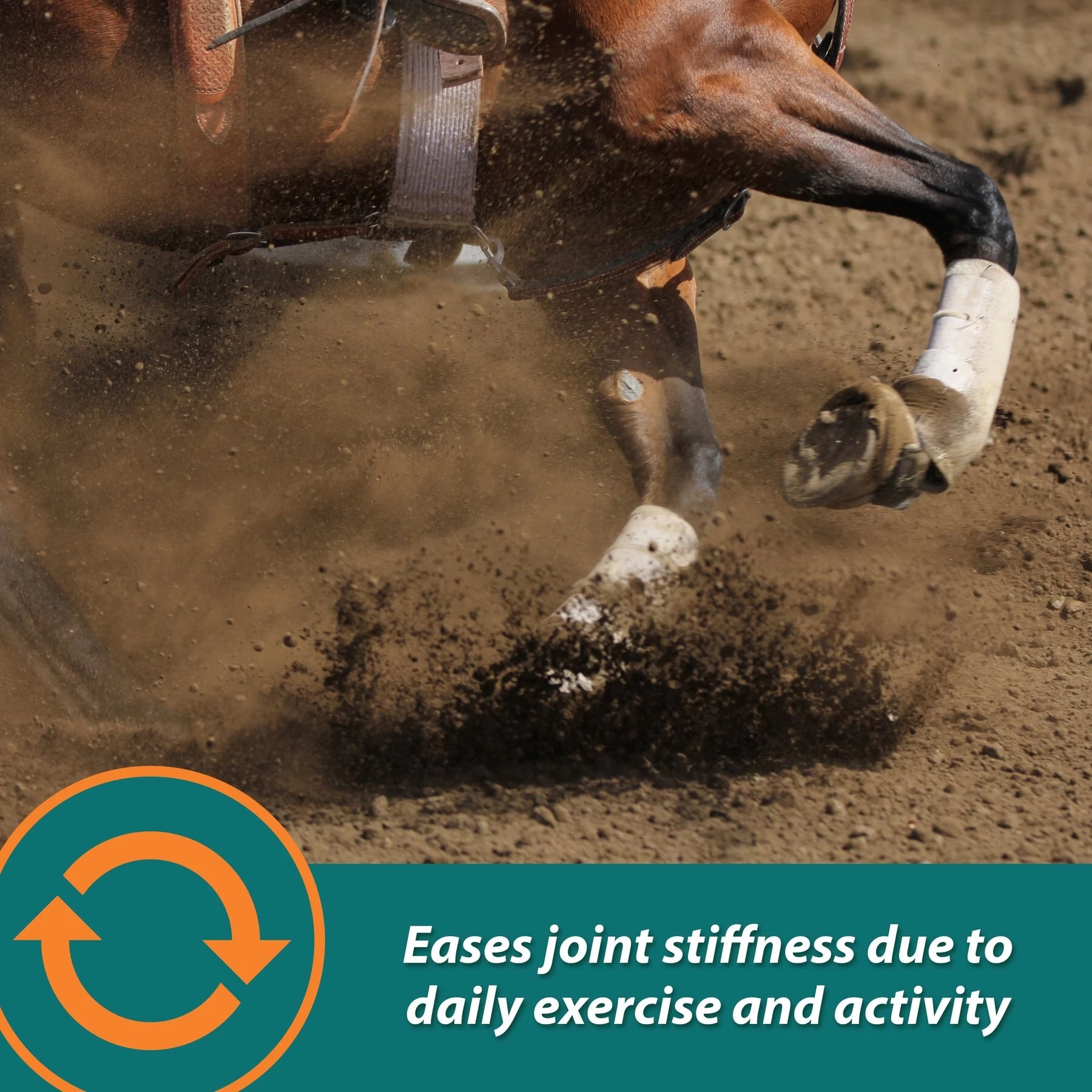 Farnam Next Level Joint Fluid Supplement, Supports Healthy Hip & Joint Function For Horses & Dogs 4 Farnam Next Level Joint Fluid Supplement, Supports Healthy Hip & Joint Function For Horses & Dogs - Image 4