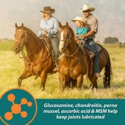 Farnam Next Level Joint Fluid Supplement, Supports Healthy Hip & Joint Function For Horses & Dogs 12 Farnam Next Level Joint Fluid Supplement, Supports Healthy Hip & Joint Function For Horses & Dogs -Horse Supplies Shop 202466 PT5. AC SS1800 V1678294457