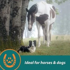 Farnam Next Level Joint Pellets Dog & Horse Supplement, 1.875-lb Jar 11 Farnam Next Level Joint Pellets Dog & Horse Supplement, 1.875-lb Jar -Horse Supplies Shop 202470 PT6. AC SS1800 V1661830793