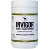Adeptus Invigor Prebiotic Digestion Formula Powder Horse Supplement