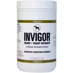 Adeptus Invigor Prebiotic Digestion Formula Powder Horse Supplement
